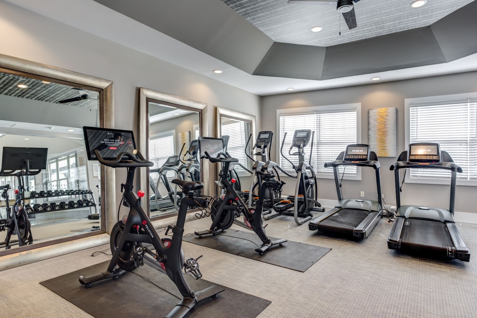 274 Verdi Court Wheaton IL 60189
