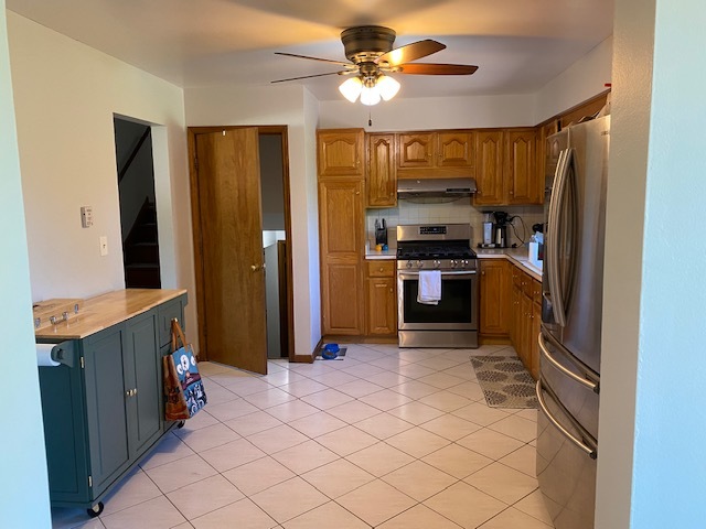 253 West Kimbell Avenue Elmhurst IL 60126