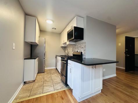 541 West Oakdale Avenue Chicago IL 60657