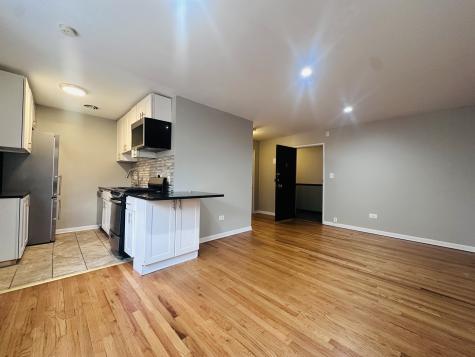 541 West Oakdale Avenue Chicago IL 60657