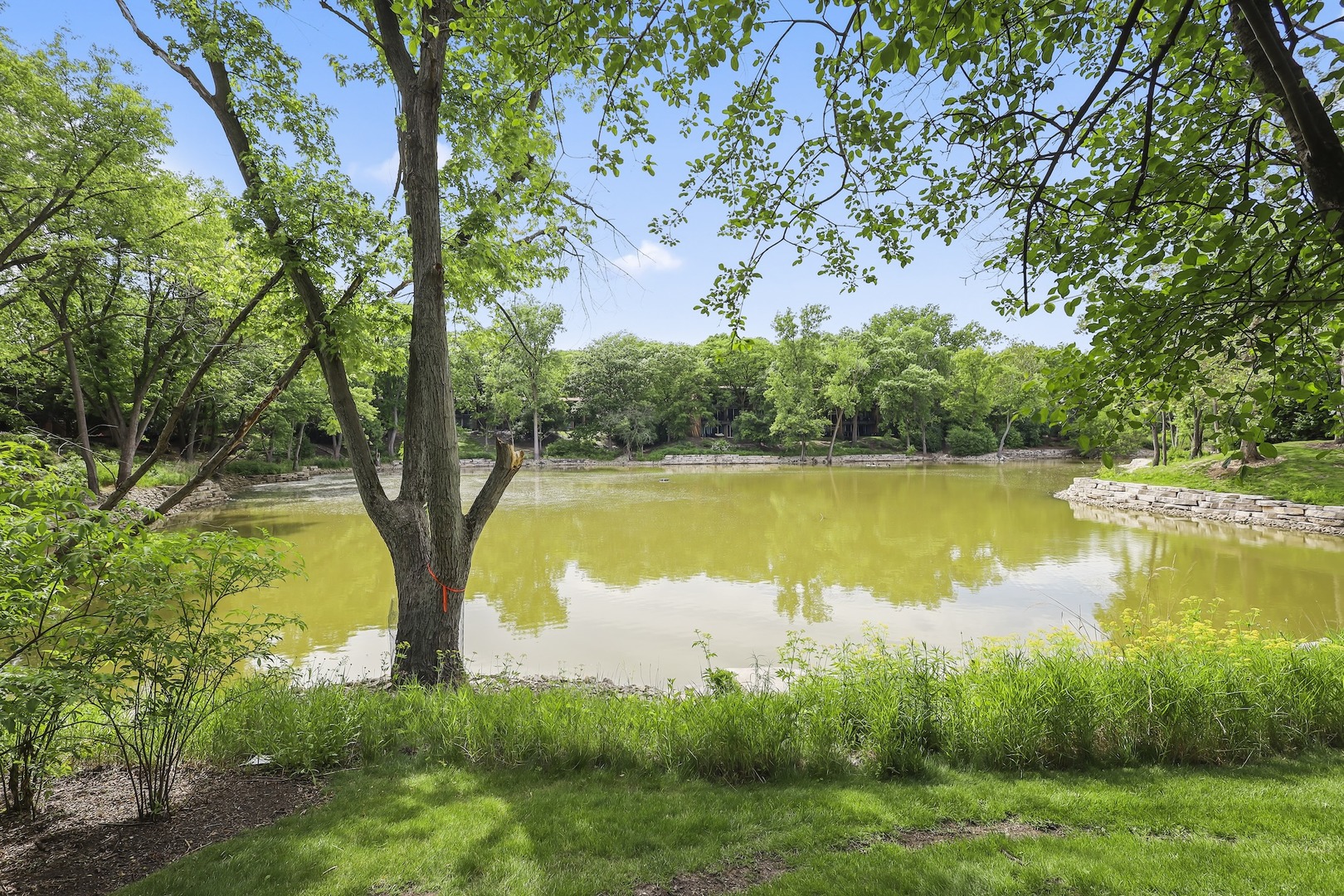 6018 East Lake Drive Lisle IL 60532