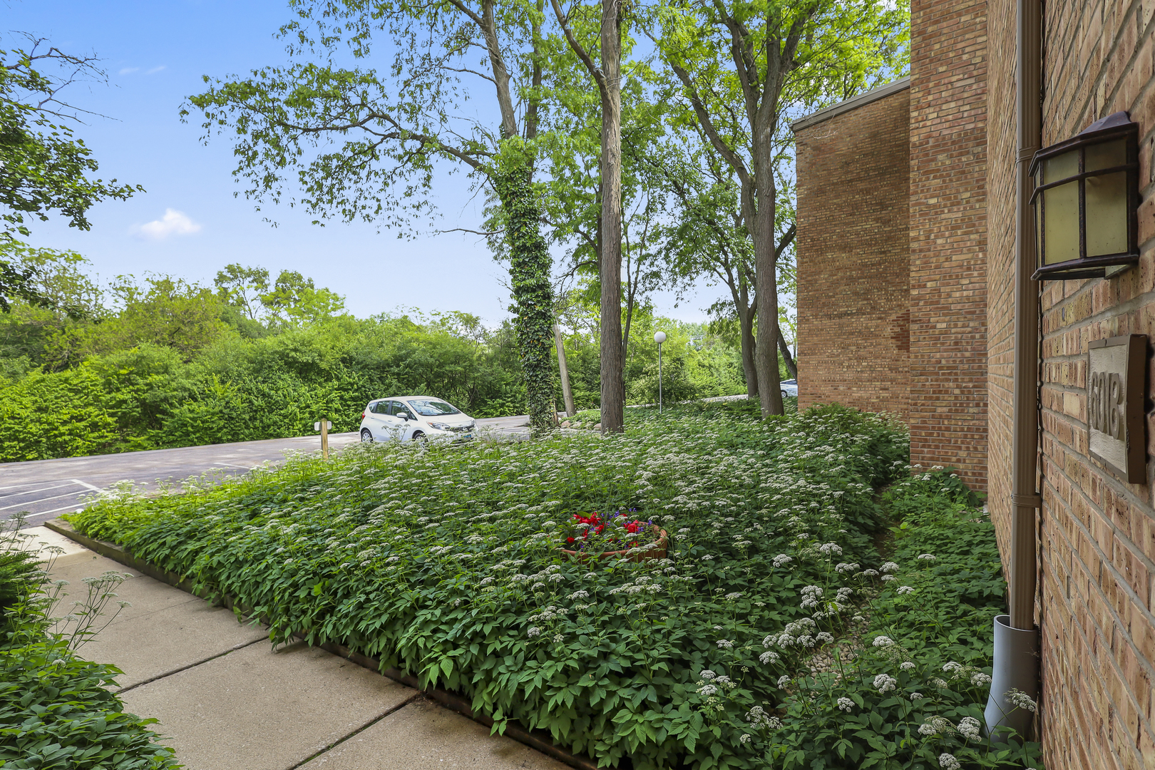 6018 East Lake Drive Lisle IL 60532