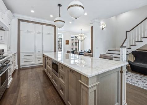 441 West Deming Place Chicago IL 60614