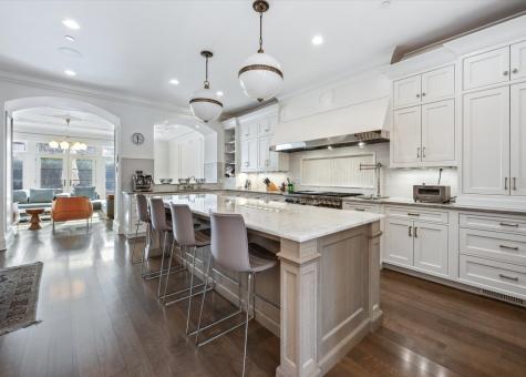 441 West Deming Place Chicago IL 60614
