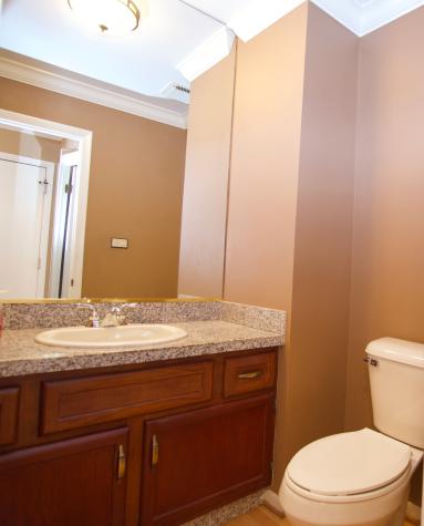 253 West Golfview Terrace Palatine IL 60067