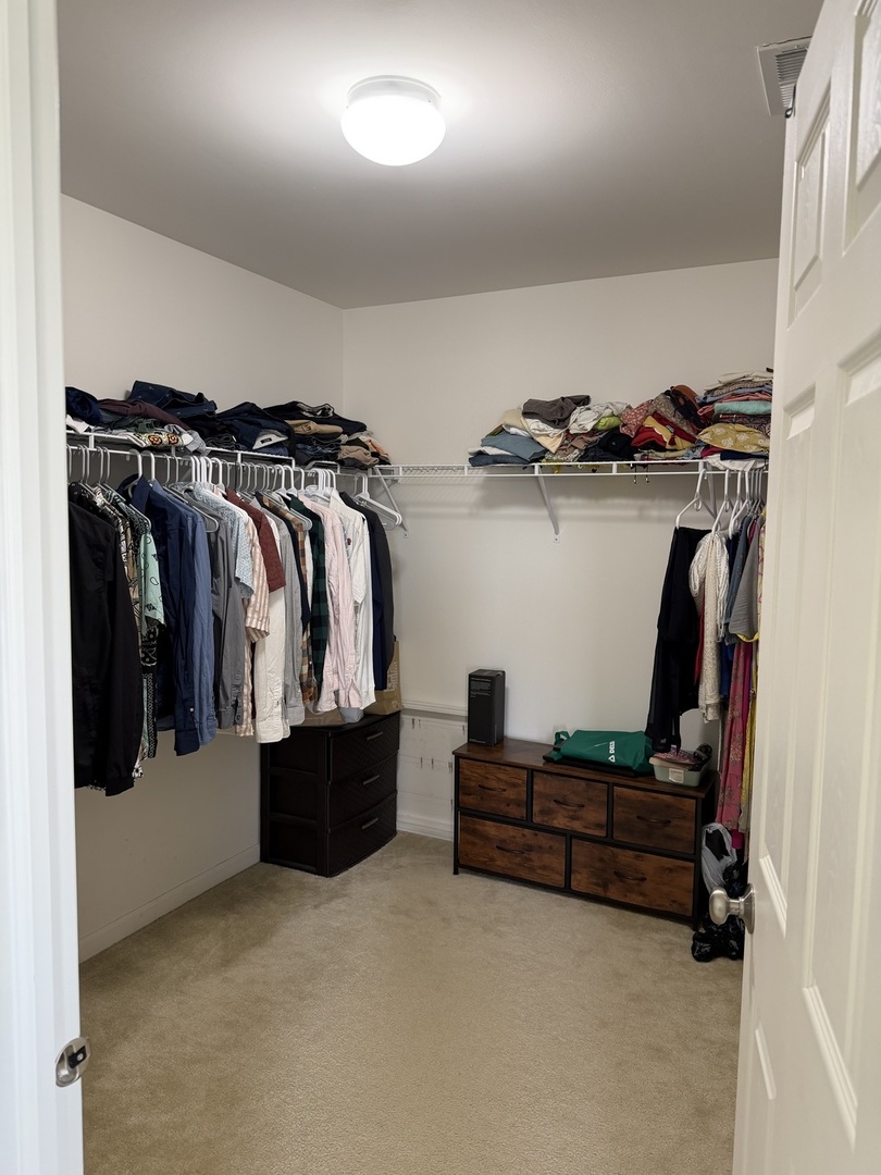 10097 Cummings Street Huntley IL 60142