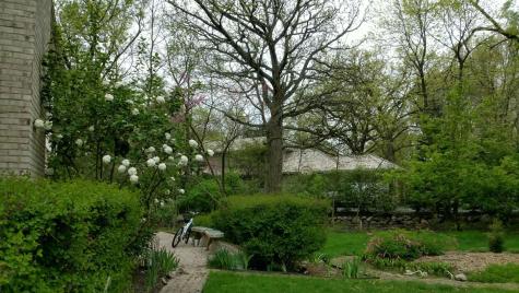 33 River Oaks Circle E Buffalo Grove IL 60089