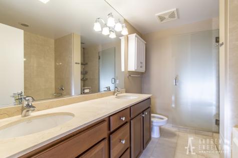 1069 West 14th Place Chicago IL 60608