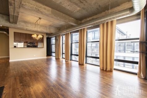 1069 West 14th Place Chicago IL 60608