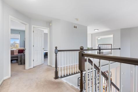 9 Lake Plumleigh Court Algonquin IL 60102