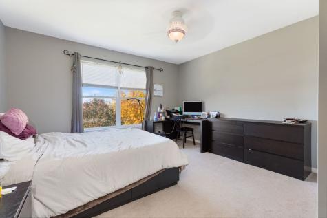 9 Lake Plumleigh Court Algonquin IL 60102