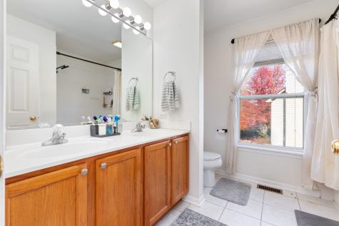 9 Lake Plumleigh Court Algonquin IL 60102