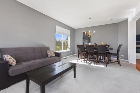9 Lake Plumleigh Court Algonquin IL 60102