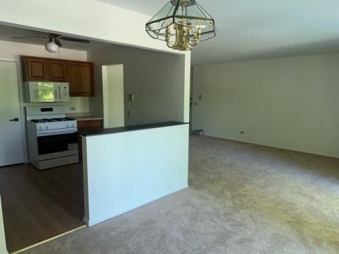 380 Heather Court Schaumburg IL 60193
