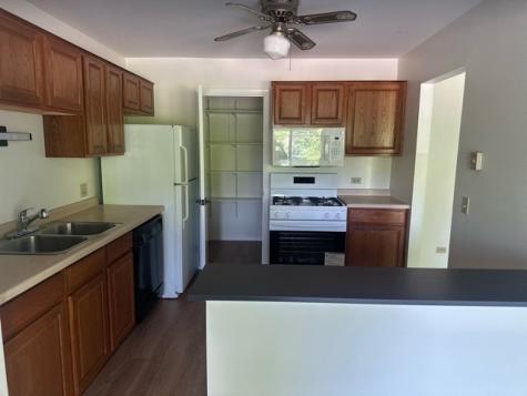 380 Heather Court Schaumburg IL 60193