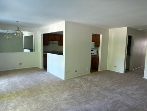 380 Heather Court Schaumburg IL 60193