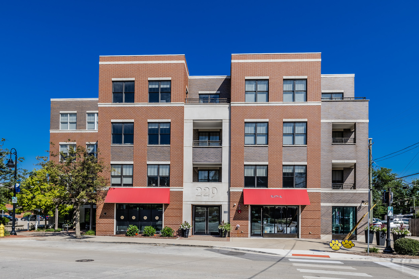 229 Park Avenue Clarendon Hills IL 60514