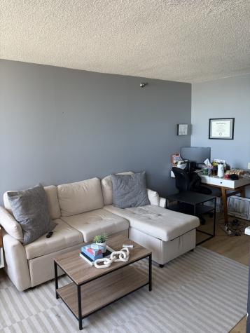 474 North Lake Shore Drive Chicago IL 60611