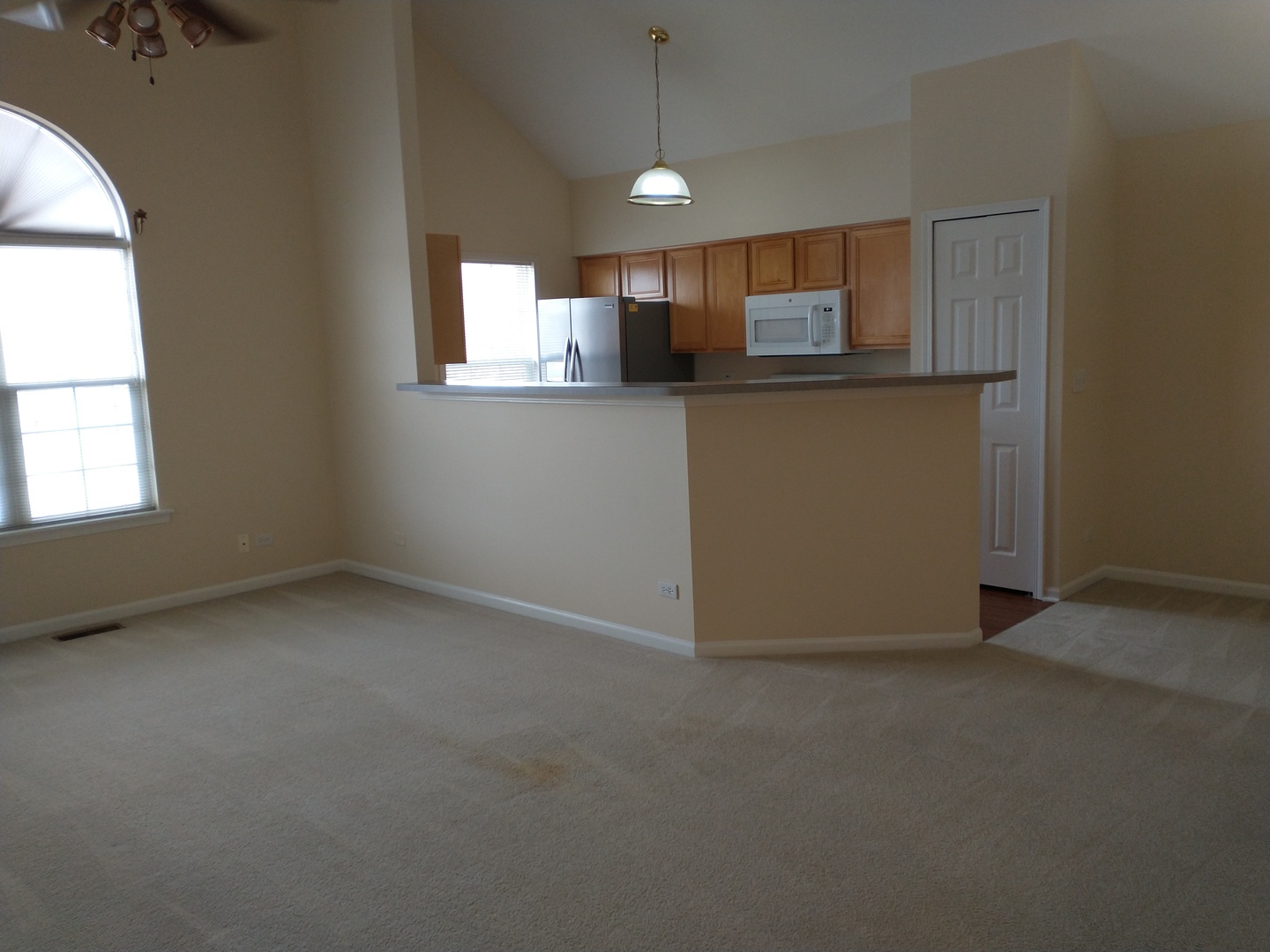 66 Fulbright Lane Schaumburg IL 60194