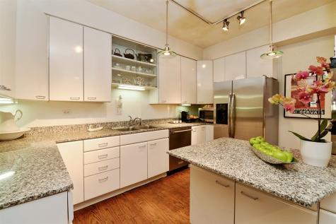2737 North Hampden Court Chicago IL 60614