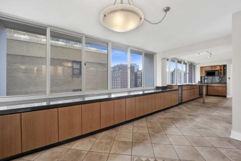 1 East Schiller Street Chicago IL 60610