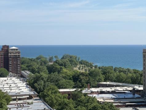 1700 East 56th Street Chicago IL 60637