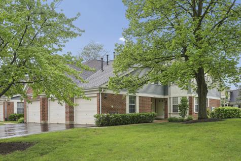 1242 South Wellington Court Buffalo Grove IL 60089