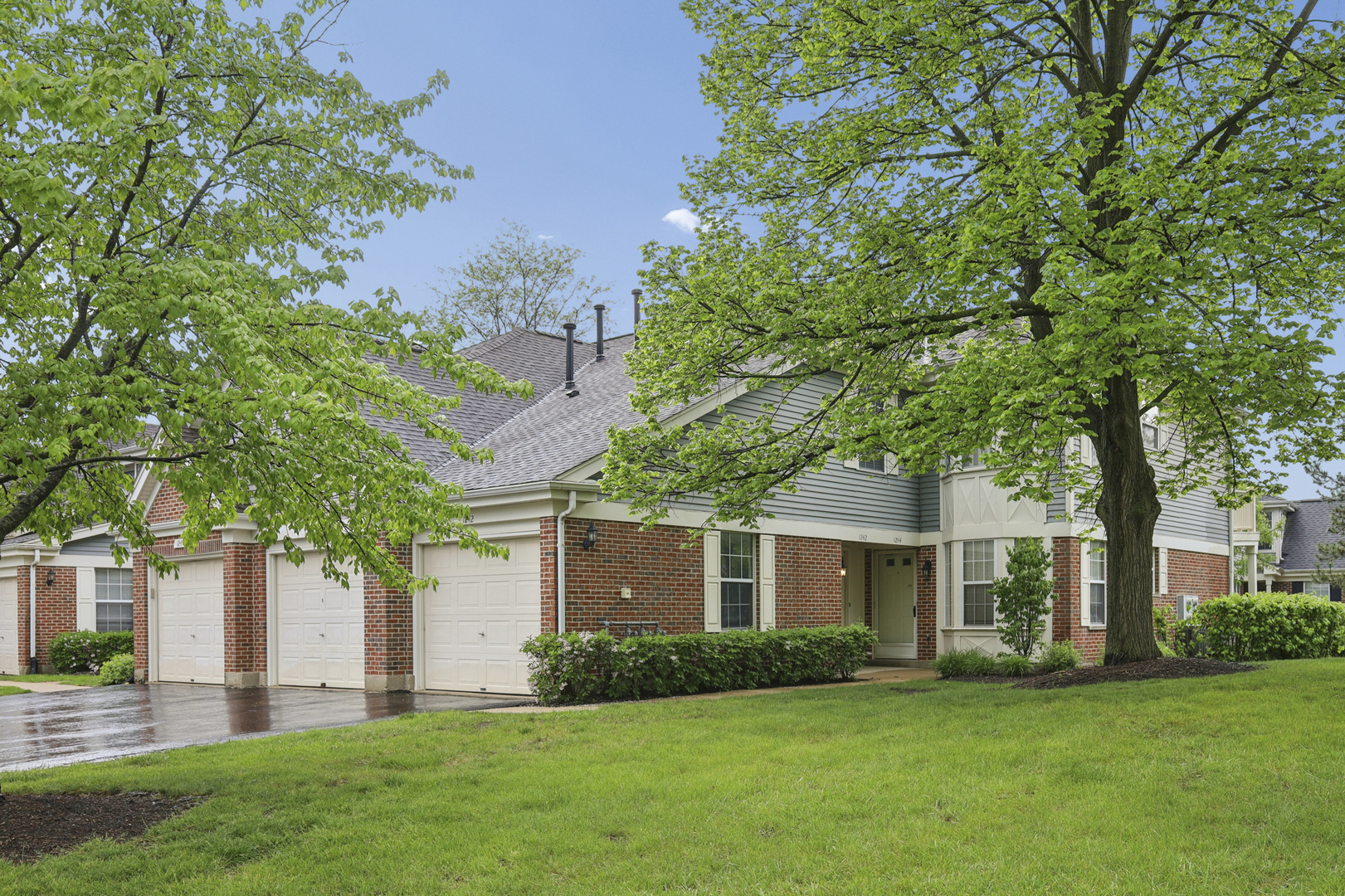 1242 South Wellington Court Buffalo Grove IL 60089