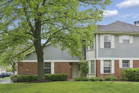1242 South Wellington Court Buffalo Grove IL 60089