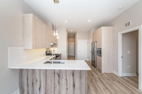 4149 South Cottage Grove Avenue Chicago IL 60653