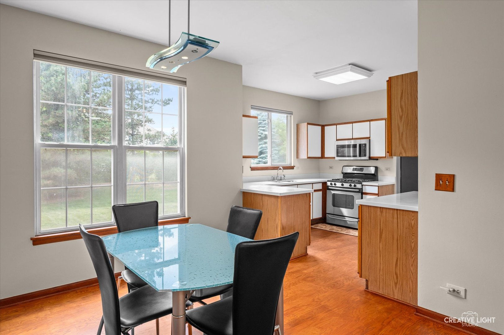 1348 Amaranth Drive Naperville IL 60564