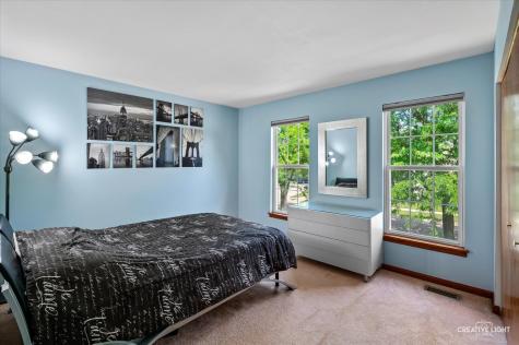 1348 Amaranth Drive Naperville IL 60564