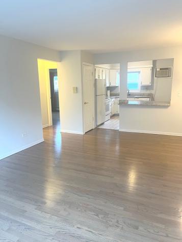 7952 Madison Street River Forest IL 60305