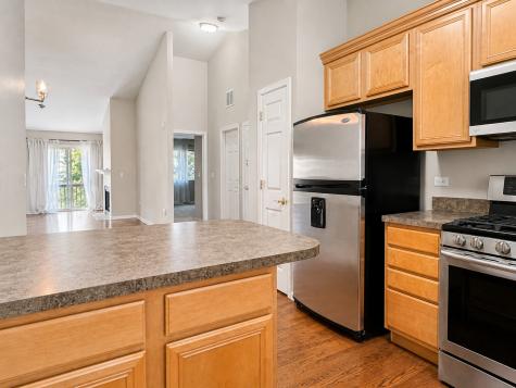 3159 Saganashkee Lane Naperville IL 60564