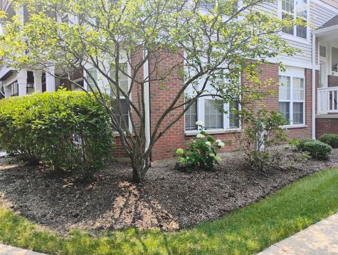 1128 Georgetown Way Vernon Hills IL 60061