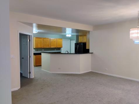 1128 Georgetown Way Vernon Hills IL 60061