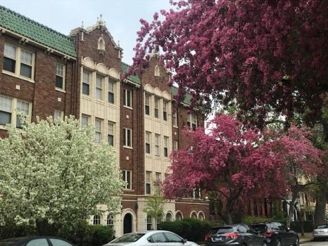 1824 North Lincoln Park West Chicago IL 60614