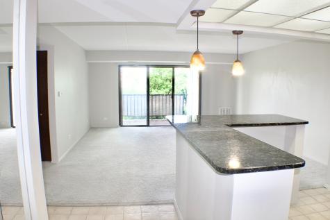 475 Plum Creek Drive Wheeling IL 60090