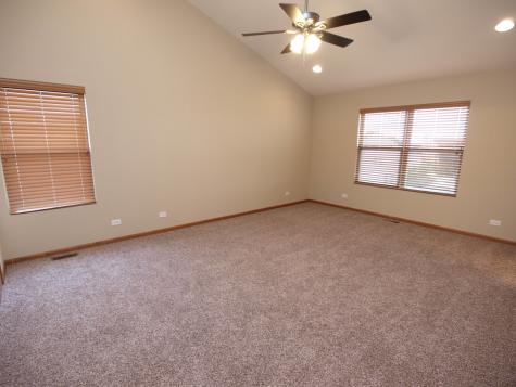 8116 Bluestem Avenue Joliet IL 60431