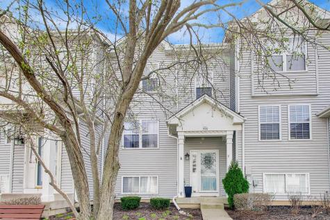 590 North Triumph Court Hainesville IL 60073