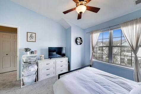 590 North Triumph Court Hainesville IL 60073
