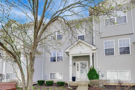 590 North Triumph Court Hainesville IL 60073