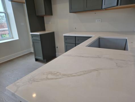 3216 South Morgan Street Chicago IL 60608