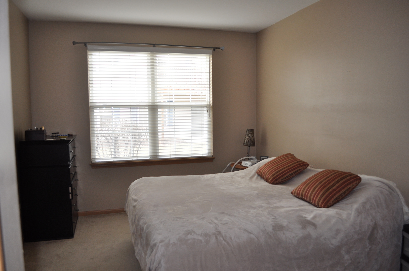 819 Genesee Drive Naperville IL 60563