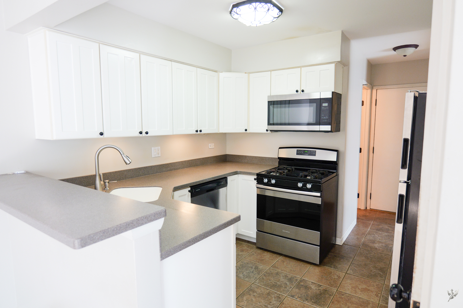 1417 Queensgreen Circle Naperville IL 60563
