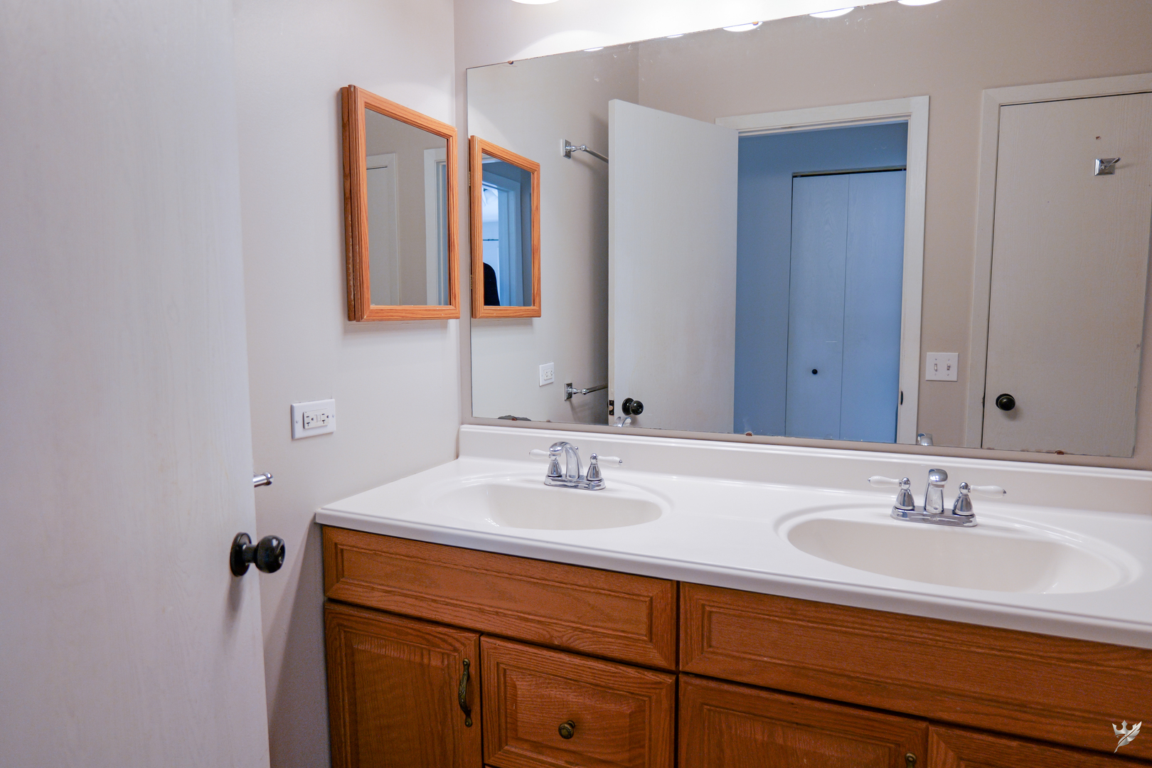 1417 Queensgreen Circle Naperville IL 60563