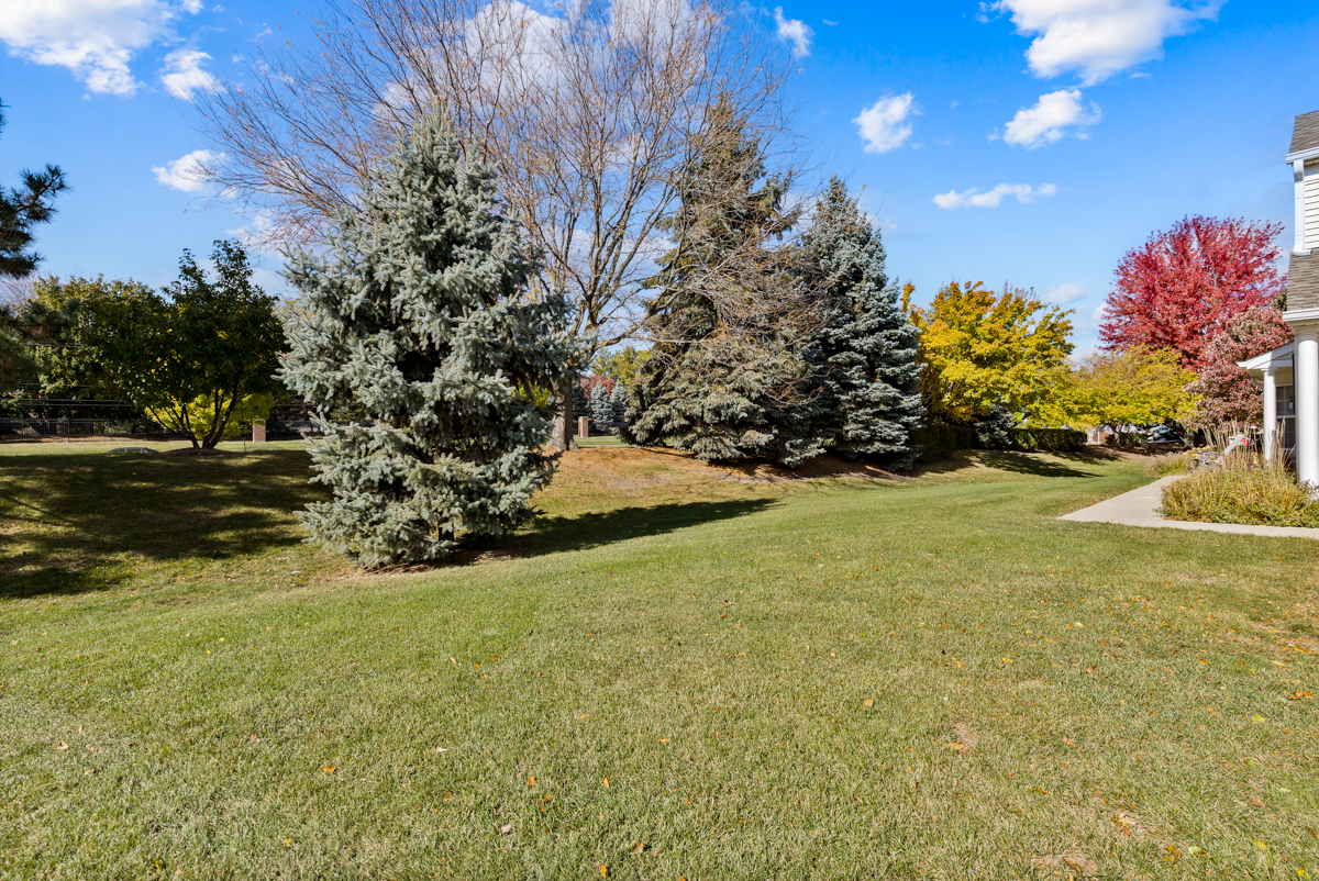 2211 Waterleaf Court Naperville IL 60564
