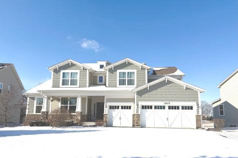 3907 Nannyberry Street Naperville IL 60564