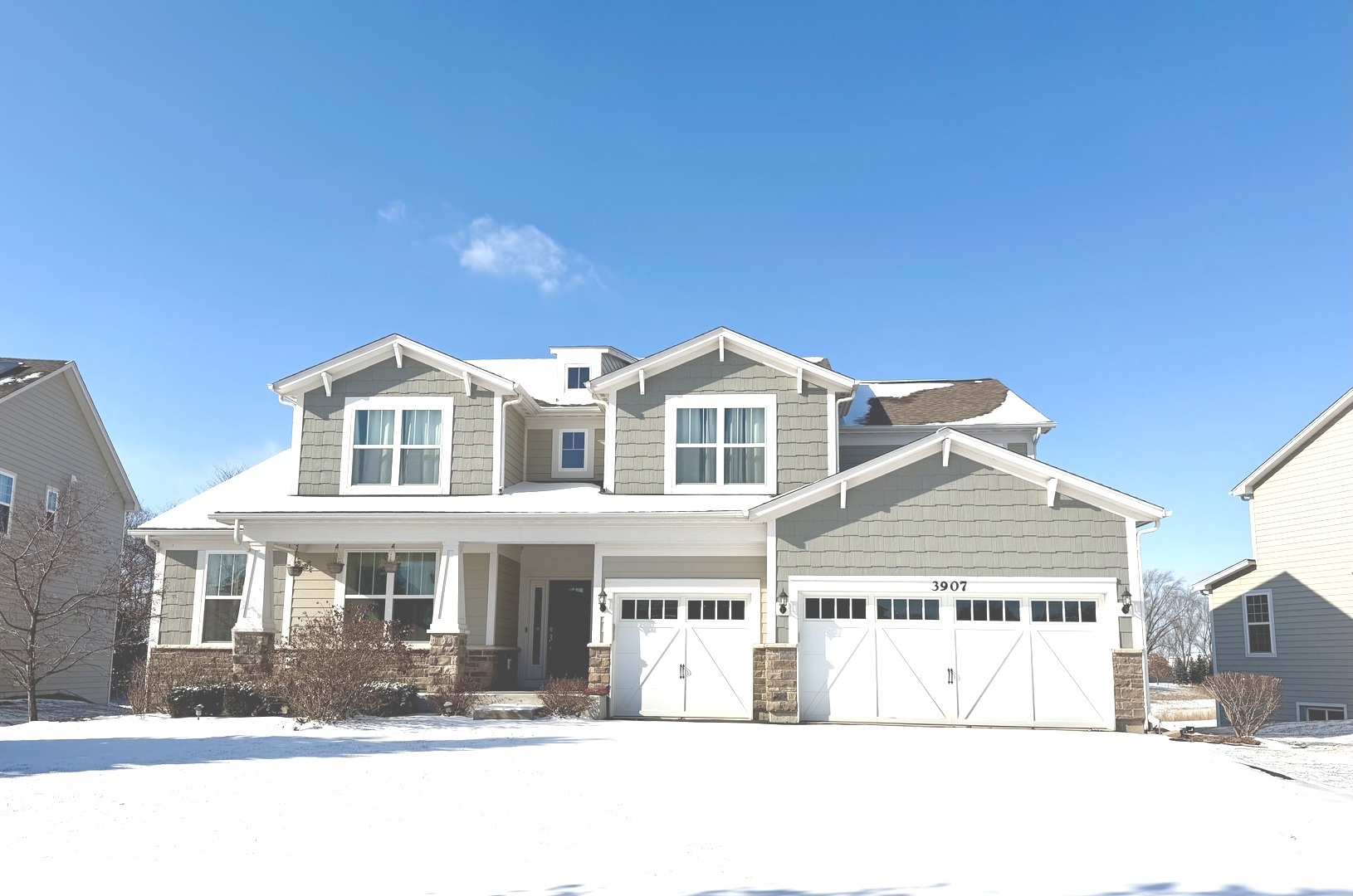 3907 Nannyberry Street Naperville IL 60564