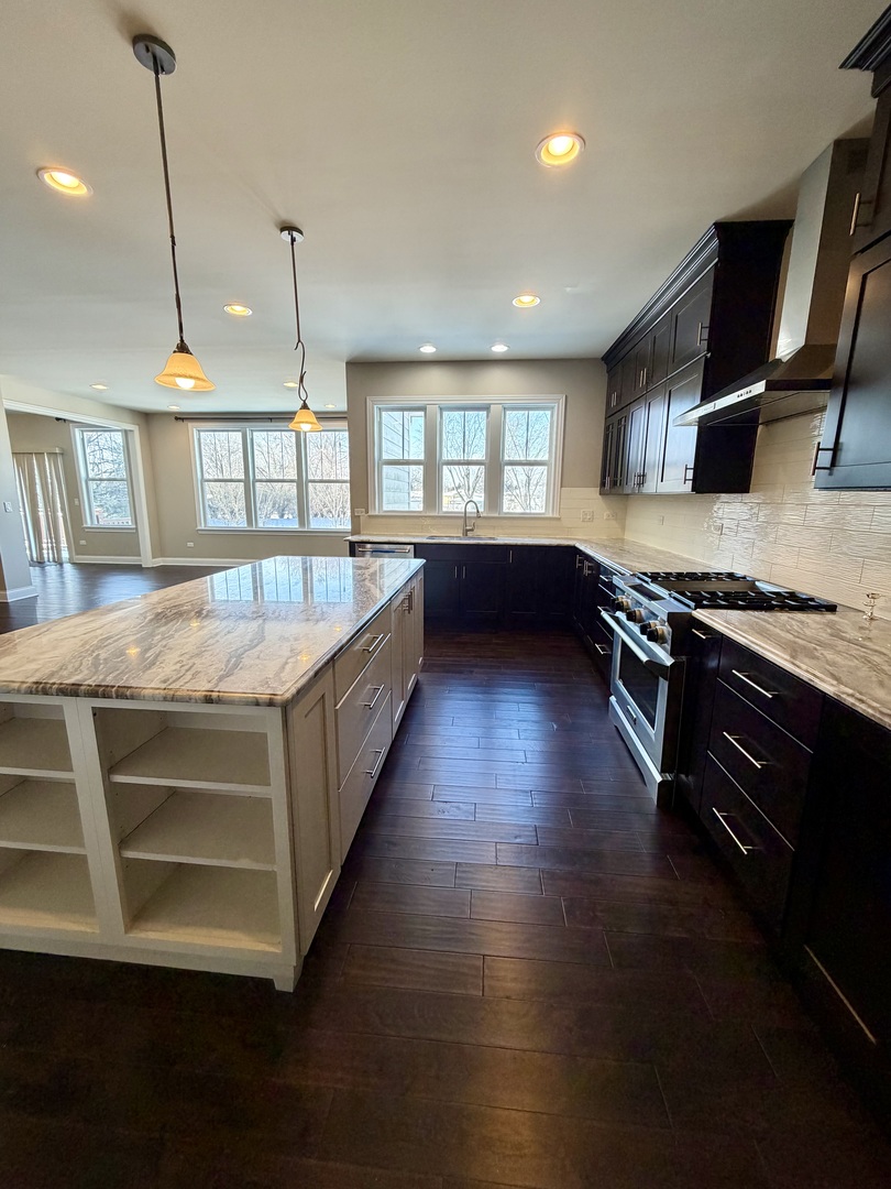 3907 Nannyberry Street Naperville IL 60564